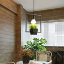 Black Geometric Iron Ceiling Lamp Pendant Light Plants Flower Pots Light Fixture-Square