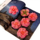 Generic 10PCS Artificial Camellia Silk Japonica Flower Heads for Wedding Party Home Garden Decor 6cm