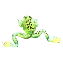 1 x Soft Frog Fishing Lure Bass Bait 3.5cm Topwater