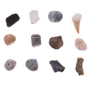 1 Pack Ancient Stone Natural Rocks Mineral Collection for Kids Science Learning Toys Birthday Gif