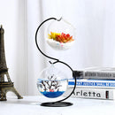 Vintage Hanging Glass Tabletop Hydroponic Flower Vase Candle Holder S Shaped Metal Tray