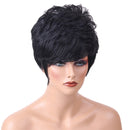 Women Short Wave Curly Hair Wig - Oblique Bangs Fluffy Hairpieces - Heat Resistant - Cosplay, Party, Costume - 22Cm