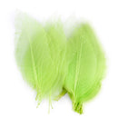 Natural Magnolia Skeleton Leaf Leaves Card Making Scrapbooking Embellishments Craft Supplies Green Pack Of 50PCS