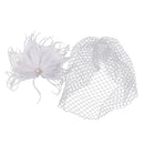 Vintage Women's White Birdcage Veil with Feather Fascinator Wedding/Tea Party/Church