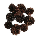 10 Pieces Rustic Natural Acorns Dried Flowers Ornaments For Christmas Wedding Indoor Outdoor Events Party Decorations Vase Bowl Filler Displays Craft