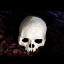 Reptile,Snake,Turtle,Vivarium Rock,Caves,Decor Aquarium Ornament Human Skull