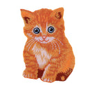 Embroidered Sew Iron on Patch Badge Lovely Cat for Hat Bags Fabric Applique Cloth Craft