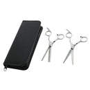 Professional 6.0'' Silver Hair Cutting Shears/Scissors and Barber Thinning/Texturizing Set with Black Storage Case