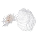 Handmade Hair Clip Hair Accessory Crystal Pearl Wedding Bridal Prom Fascinator Mesh Net Face Veil Retro Feather Barrette