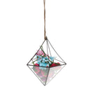 Garden DIY Wedding Glass Air Plant Succulent Haning Planter Holder Decoration