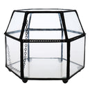 Glass Geometric Terrarium Air Plants Containers Balcony Succulent Fern Moss Flower Pots Planter