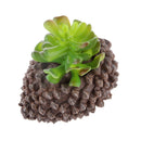 Artificial Succulent Echeveria Foliage Plastic Plant Home Flower Arrangement Decor
