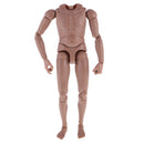 1:6 Scale Tan Action Figure Wide Shoulder Muscular without Neck Body for TTM18 TTM19 Hot Toys