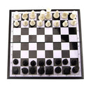 19.5 x 19.5CM Chessboard Portable Plastic Magnetic Foldable Checkers Draughts Chessman Set Competition Toys