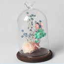 Clear Glass Plant Dry Flower Microlandscape Vase Cover Terrarium Dome with Tray DIY Gift Home Cafe Wedding Decoration