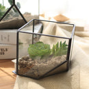 Cube Shaped Glass Terrarium Greenhouse Moss Miniature Home Office Shop Decor Clear S