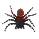 Realistic Science Plastic Animal Model Figure Brazilian Red Spider Figurine Children Kids Educational Toy Home Decoration Collectibles Kids Story Telling Props