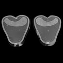 1 Pack Flank Patch Adjustable Invisible Bra Strap Underwear Shoulder Strap