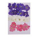 20 Pieces Pressed Dried Flower Real Flower Delphinium Scrapbooking Embellishments for Jewelry Making DIY Ornament