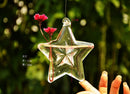 Star Hanging Glass Flower Hydroponic Vase Bottle Terrarium Container Decor
