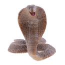 Realistic Animal Snake Model Figurine Action Figures Kids Toy Playset Story Telling Props Collectibles