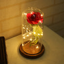 Best Gift Red Silk Rose in Glass Dome with LED on a Base for Home Decoration