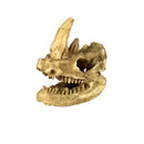 Reptile,Snake,Turtle,Vivarium Rock,Caves,Decor Aquarium Ornament Rhino Skull
