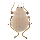 DIY Cute Insect Natural Wooden Ornaments Educational Toys For Children Kids