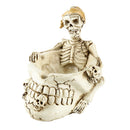 Human Skull Head Ashtray Holder Skull Skeleton Head Resin Statue Art 15cm