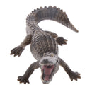 Kids Story Telling Animal Figure Showcase Display Model Educational Toy - Large Crocodile