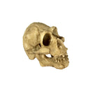 Reptile,Snake,Turtle,Vivarium Rock,Caves,Decor Aquarium Ornament Skull Head