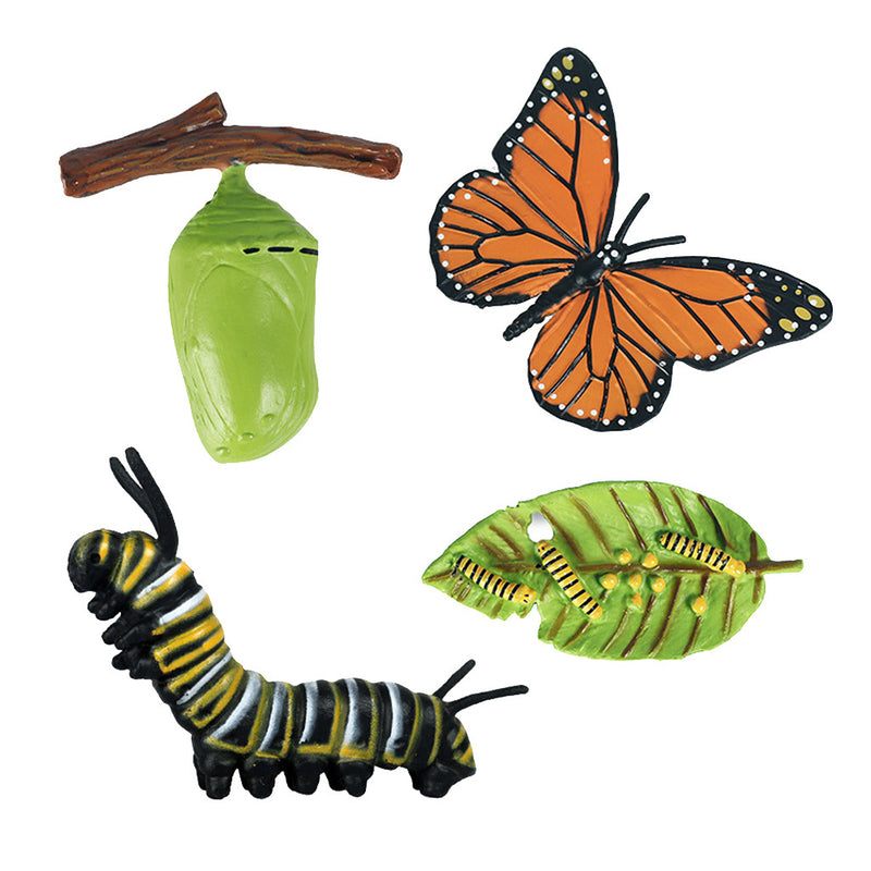 Realistic Nature Butterfly Bee Growth Child Education Learning Teaching Toys