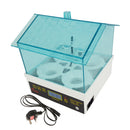 Mini Digital Clear Egg Incubator 4 Eggs Hatcher with LCD Display Automatic Temperature Control-EU Plug