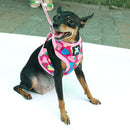Set Of Lightweight Breathable Cotton Strawberry Round Dot Design Dog Harness Leash Rose Red M