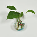 Home Office Decor Glass Ball Shape Glass Wall Hanging Flower Vase Plant Bottle 12cm