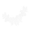 White Lace Embroidered Venise Floral Neckline Neck Collar Clothes Sewing Applique Patch