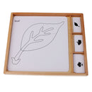 Set of Plant Parts Name Cards for Montessori Early Learning Educational Toys