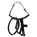 Technical Scuba Diving Diver BCD Stage Bottle Side Mount Carry Strap Bolt Snap Clip Rigging Kit Accessories for 18 cu ft Tank