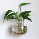 Glass Hanging Vase Bottle Flower DIY Terrarium Container with No Trace Nail