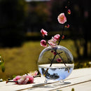 Table Decor Glass Flower Planter Vase Terrarium Container Home Garden Ball Shape