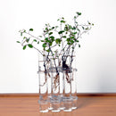 6Pieces Creative Glass Test Tubes Hanging Flower Bottle Micro-Landscape Planter Vase Pot