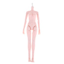 Flexible 1/4 Ball Jointed Doll Nude Body Large Chest Modern Girl Body Parts DIY Custom Accessories