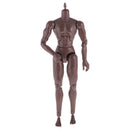 12inch Black Wide Shoulder Muscular Male 1/6 Figure Body for TTM18 TTM19 Headsculpt