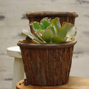 Wooden Bucket Style Pot Flower Succulents Planter Garden Outdoor Decor 15cm