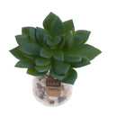 Miniature Lifelike Artificial Succulents Plants Flower Echeveria Lotus Floral Decor Photo Props