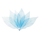 50pcs Natural Magnolia Skeleton Leaf Leaves Card Scrapbooking Craft Supply Blue