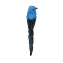 Artificial Tropical Feather Bird Clip with Long Tail Christmas Craft Decor