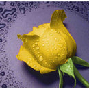 5D DIY Diamond Painting Rose Embroider Cross Stitch Craft Home Decor Charms Ornament Gift Yellow