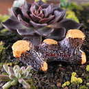 Miniature Fairy Garden Micro Landscape Dollhouse Bonsai Decor Stump Stool Yard Garden Decoration