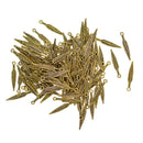 Craft Supplies 100 Pack Retro Gold Feather Pendants Beads Charms for Crafting, Jewelry Findings Making Accessory DIY Necklace Bracelet Dream Catchers